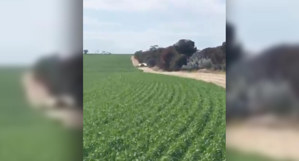 The crash scene on Brookton-Corrigin Road east of Perth where a truck crashed into a broken-down car. Source: 7 News/ Kate Smithers