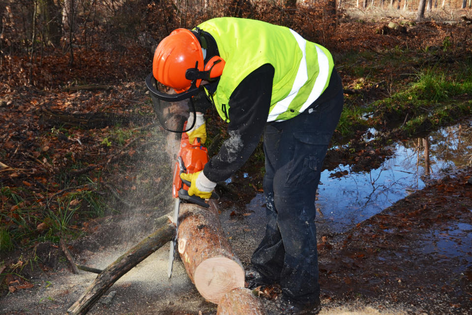 <p>Holzfäller werden vermutlich widersprechen, doch auch ihre Zunft steht vor dem Aussterben. Gesellschaftlich wird ein Wandel zu erneuerbaren Energien angestrebt und durch die steigende Digitalisierung wird sich über kurz oder lang der Papierkonsum reduzieren. (Foto: ddp) </p>