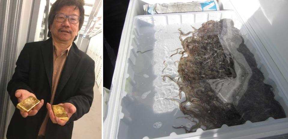 Khoo, left, and eels to be smuggled, right. (PA Images/NCA)