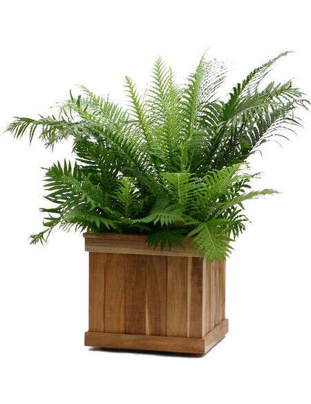 Estate Teak Square Planters