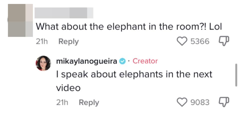 One person said "What about the elephant in the room lol" to which Mikayla replied "I speak about elephants in the next video"