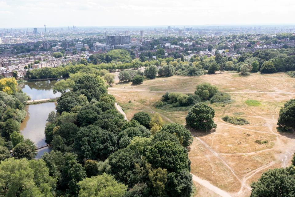 An aerial view of London’s Hampstead Heath