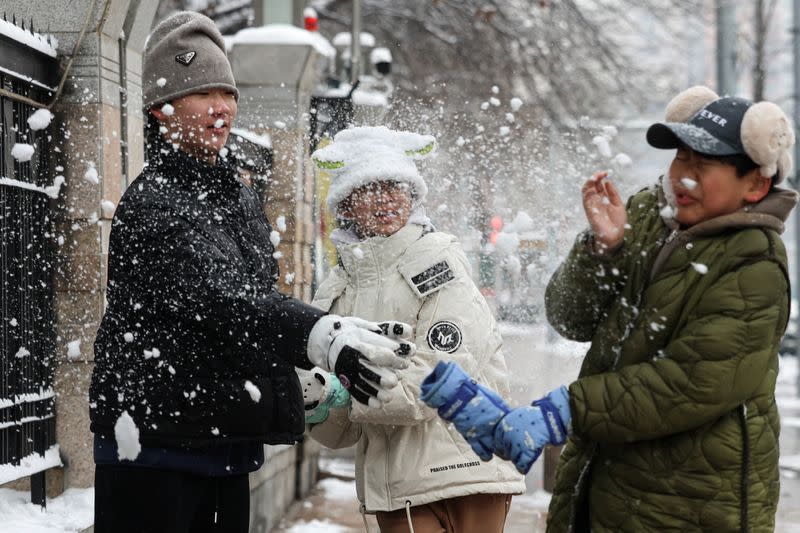 Snowfall in Beijing