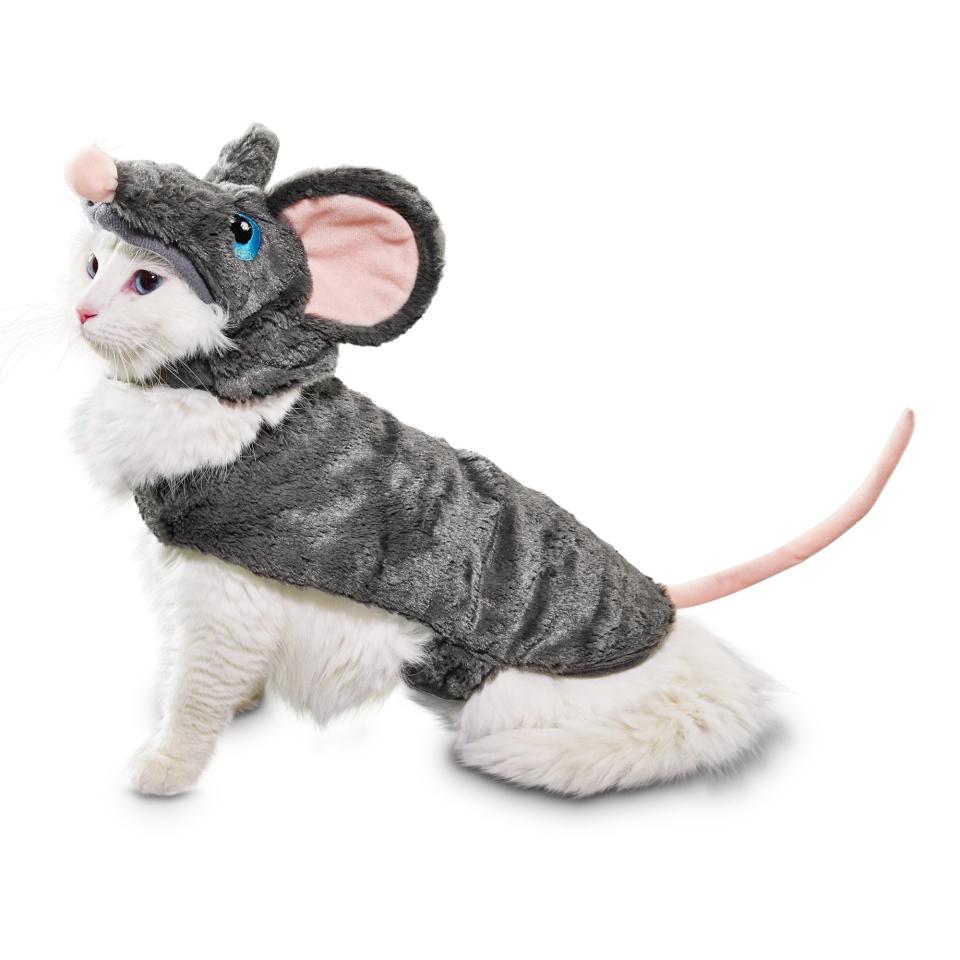 House Mouse Cat Costume
