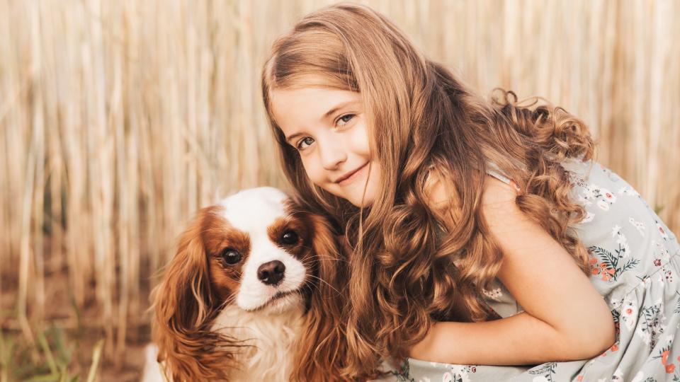<p> The best small dog breeds for kids are the perfect package, offering plenty of playfulness, patience, love and affection, all wrapped up in one adorable little bundle.&#xA0; </p> <p> It&#x2019;s not always easy choosing the right dog to fit your family and lifestyle and small dogs come with additional challenges. In fact, you may have been warned off getting a small dog because of the potential risks that boisterous children pose to their safety. </p> <p> But the truth is that all children need to be taught how to behave around all dogs, regardless of the size of the breed, and as long as the youngsters in your family understand the rules of interacting with dogs and follow them, there&#x2019;s no reason you can&#x2019;t welcome a small breed into your home. </p> <p> Most also have all the best bits of children bundled up inside of them - curiosity, energy, a love of play, and a mischievous streak which means bonds can form quickly and be long-lasting.&#xA0; </p> <p> To help you select the right canine companion for your family, here&#x2019;s our pick of the 10 best small dog breeds for kids&#x2026; </p>