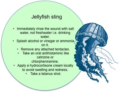 First Aid Tips: What to do in case of a jellyfish sting