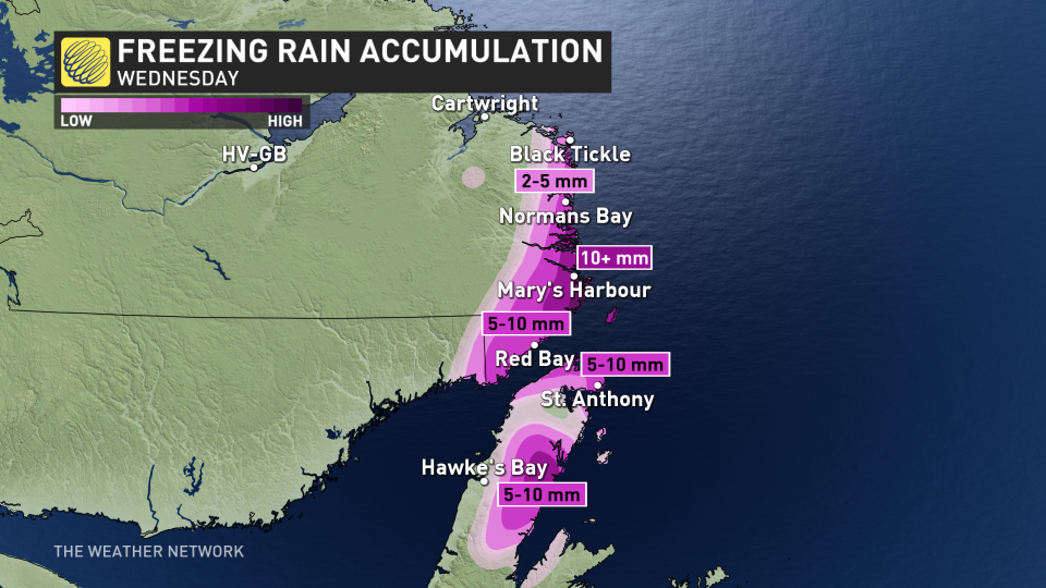 Baron - Labrador freezing rain - April24.jpg