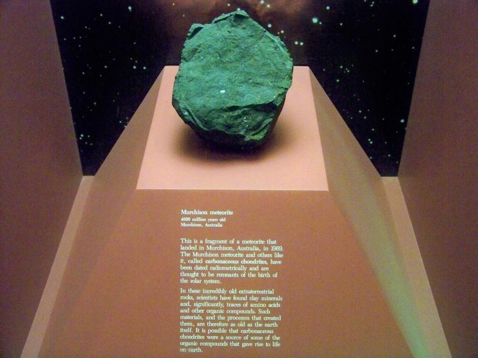 Murchison meteorite