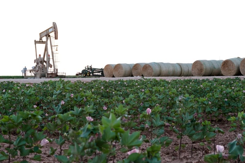 FILE PHOTO: Oil pump jacks work at sunset near Midland