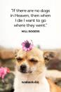 <p>“If there are no dogs in Heaven, then when I die I want to go where they went.”</p>