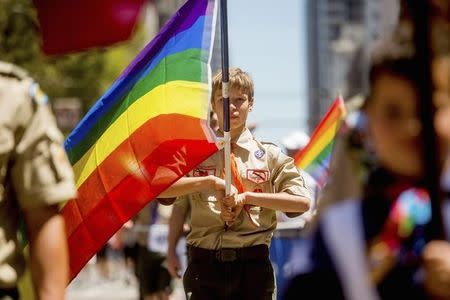 Boy Scout Casey Chambers carries a rainbow flag during the San Francisco Gay Pride Festival in California June 29, 2014. REUTERS/Noah Berger