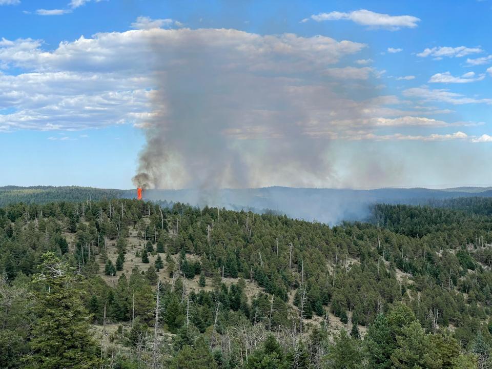 60-acre Apple Tree Fire on the Sacramento Ranger District that started from lighting on July 18, 2023