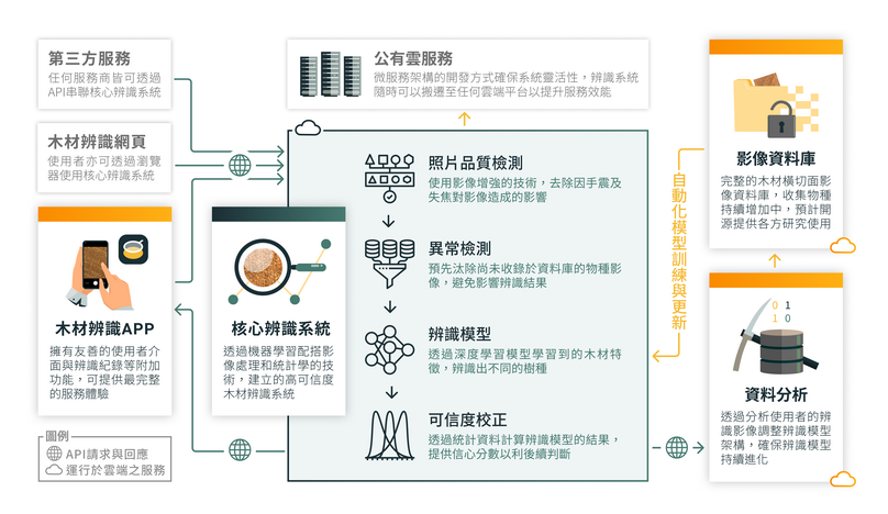 木材辨識構思圖。（農委會林試所提供）