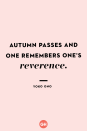 <p>Autumn passes and one remembers one's reverence.</p>