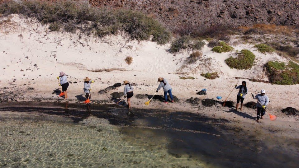 Presentan denuncia ante Profepa por incendio de yate que contaminó Playa Balandras