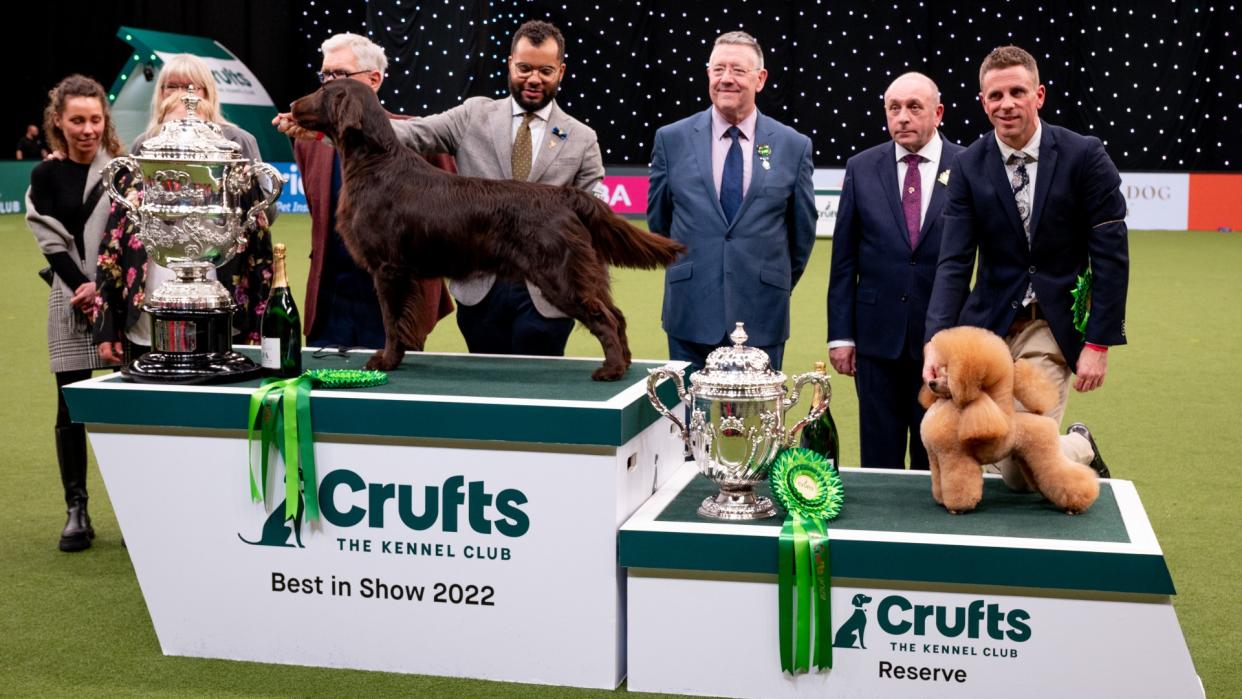  Winner and runner up of the Crufts Dog Show 2022 standing on the podium 