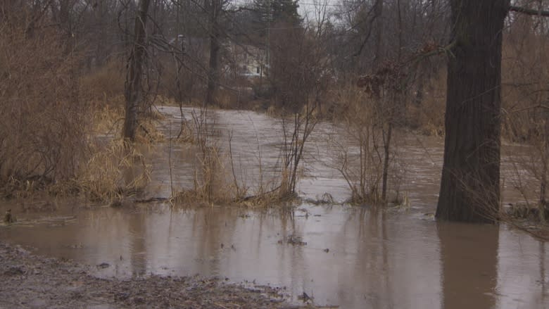 Mississauga under flood warning as river water seeps into homes near Old Derry Road