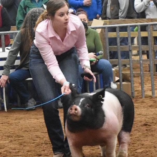 Paige Fiume wrangles her show hog during the Farm Show Market Swine Competition.