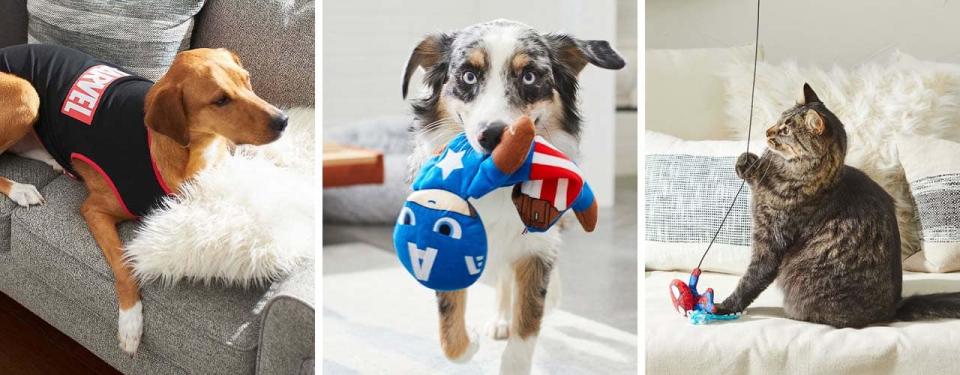 pets and Marvel themed gear and toys
