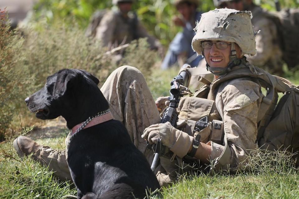 In this undated image released by Animal Planet, Marine Cpl. Jonathan Eckert of Oak Lawn, Illinois, rests with his improvised explosive device sniffing dog, Bee, while on patrol in Afghanistan during the filming of "Glory Hounds." The series stars the military working dogs that serve beside their human partners in Iraq and Afghanistan. From tracking insurgents to sniffing out explosives, these heroic canines are an integral component of the armed forces _ and share deep emotional bonds with their human companions. (AP Photo/Animal Planet)