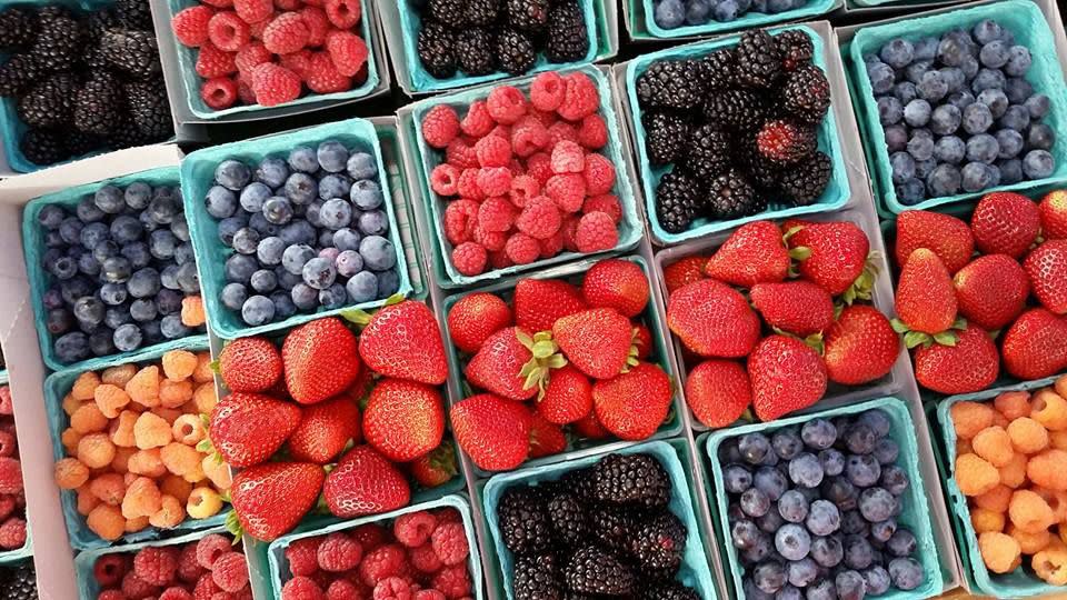 California: Santa Monica Farmers' Market