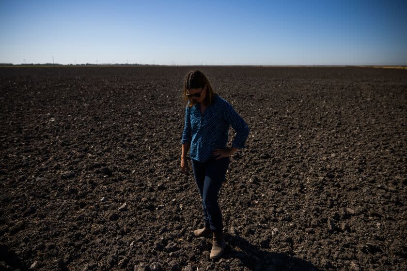 Kim Gallagher stands in a rice field she's fallowed due to a lack of water in Knights Landing, California, August 3, 2021.