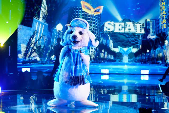 <p>Michael Becker / FOX</p> Seal performing on 'The Masked Singer' season 11