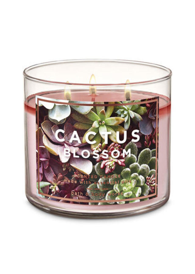 Bath & Body Works Cactus Blossom Single Wick Candle