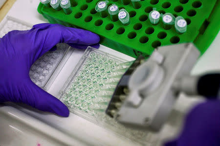 FILE PHOTO: A scientist prepares protein samples for analysis in a lab at the Institute of Cancer Research in Sutton, Britain, July 15, 2013. REUTERS/Stefan Wermuth/File Photo