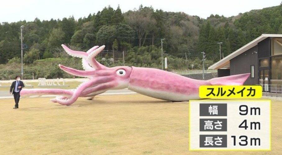 這座巨型魷魚長13公尺、寬9公尺、高4公尺。（翻攝自推特）