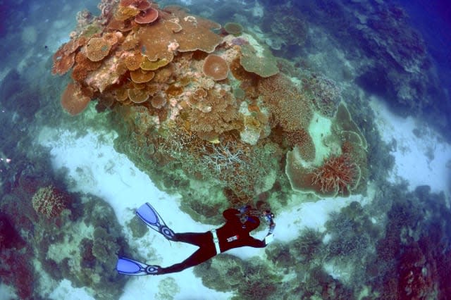 Great Barrier Reef declared 'dead' in obituary