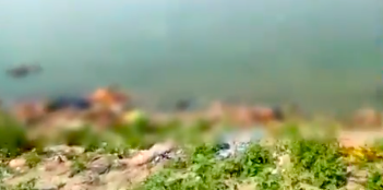 <p>Screengrab from the video of Chausa river bank where dozens of bodies were seen floating near the bank of the river Ganges</p> (Screengrab/Video)