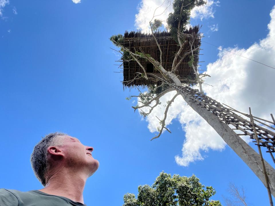 Benedict observes the older houses of the Korowai, which were built high in the trees as a defensive strategy