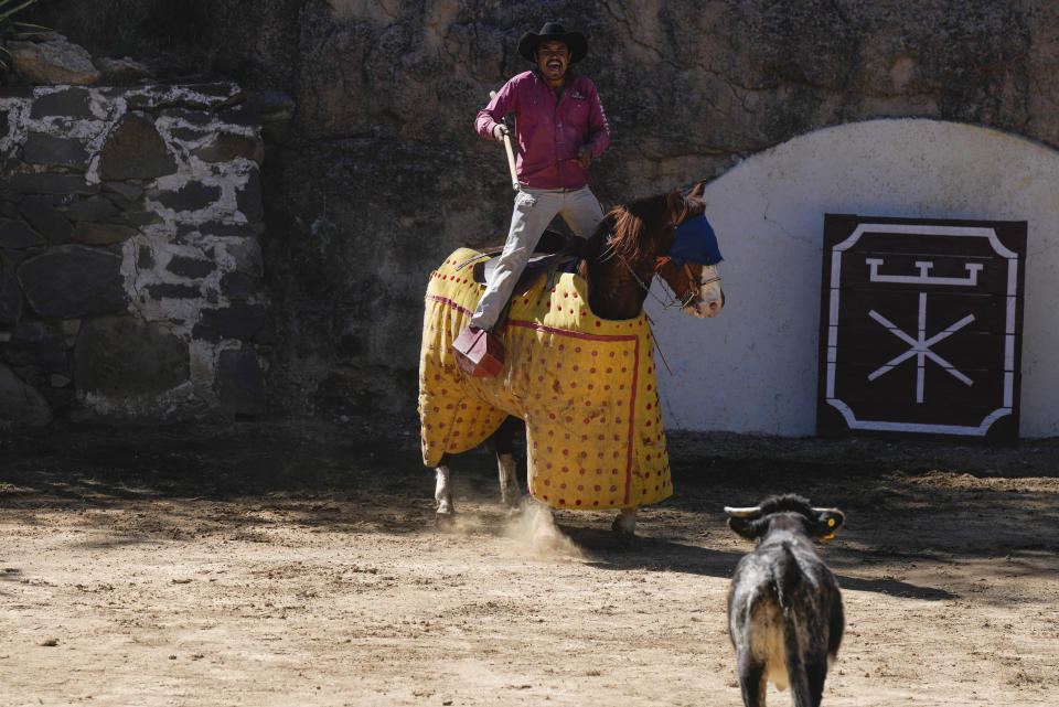 A "picador" or horseman with a lance, demonstrates how to goad a calf during a bullfighting workshop in Aculco, Mexico, Thursday, Jan. 25, 2024. The workshop is part of an initiative promoted by the Mexican Association of Bullfighting to publicize the different activities that surround the breeding of fighting bulls. (AP Photo/Fernando Llano)