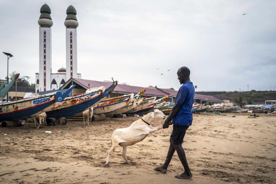 A man pulls his sheep to be washed with sand and seawater on the beach before it is offered for sale for the upcoming Islamic holiday of Eid al-Adha, on the beach in Dakar, Senegal Thursday, July 30, 2020. Even in the best of times, many Muslims in West Africa scramble to afford a sheep to slaughter on the Eid al-Adha holiday, a display of faith that often costs as much as a month's income, and now the coronavirus is wreaking havoc on people's budgets putting an important religious tradition beyond financial reach. (AP Photo/Sylvain Cherkaoui)