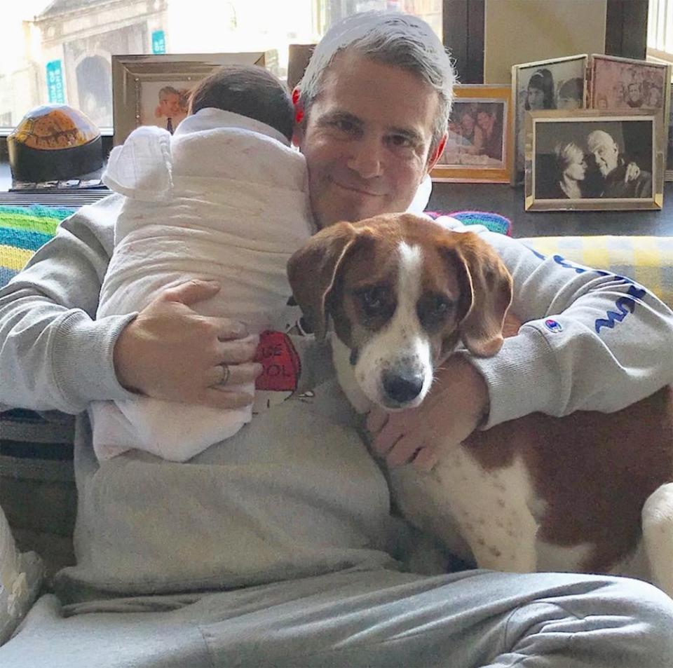 Andy Cohen with son Benjamin and dog Wacha