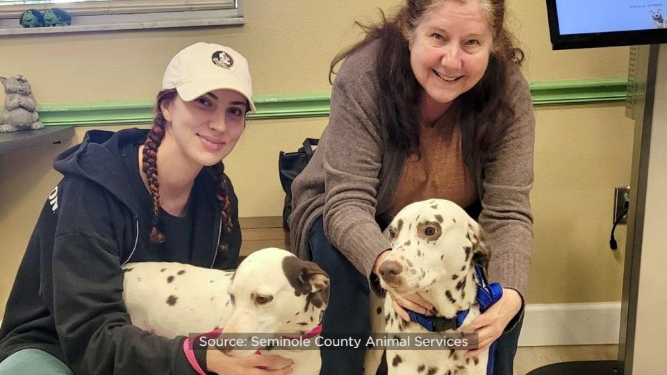 The day after Seminole County Animal Services posted photos of Seminole County firefighters with a pair of adoptable Dalmatians, the dogs found their forever home.