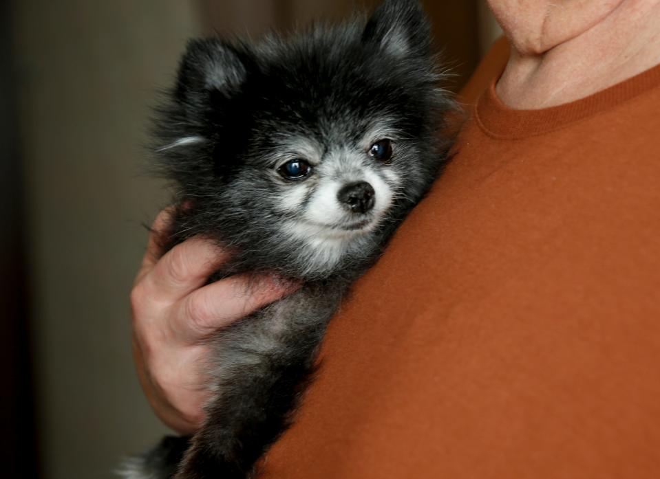 Dennis Schlies holds his dog Guni, on Tuesday, Sept. 15, 2020 at a hotel in Salem, Oregon. The Schlies made it out of their home in Gates, Oregon with their dog and cat and a few other personal items.