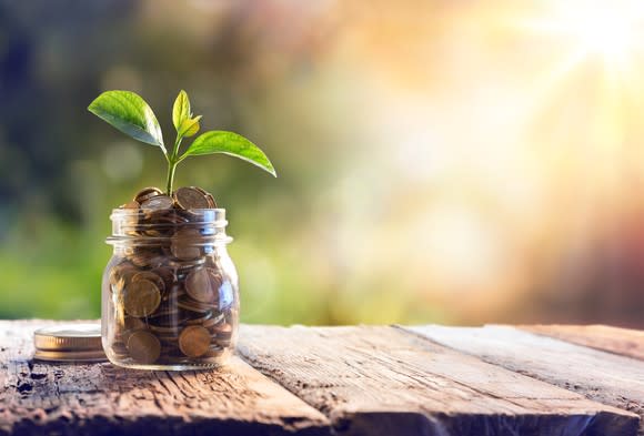 A plant growing out of a jar full of change.