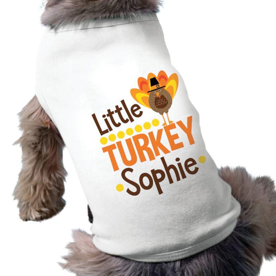 Dog wearing a Personalized Dog Thanksgiving Shirt on a white background