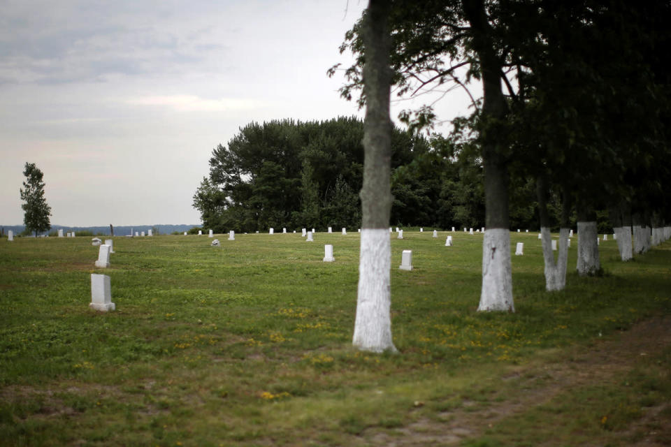 Mass graves in the heart of New York