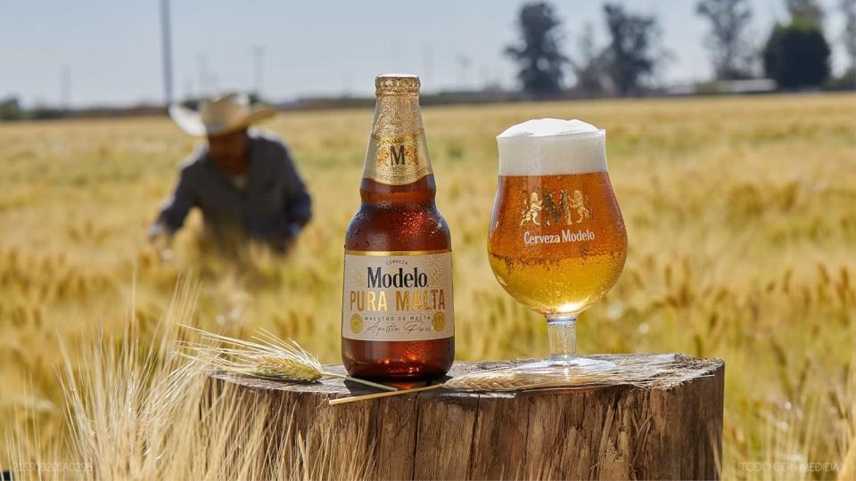 Cerveza Modelo Pura Malta, 12 botellas