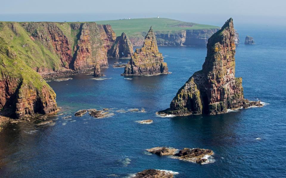 Scotland Duncansby Stacks wildlife holiday - Getty