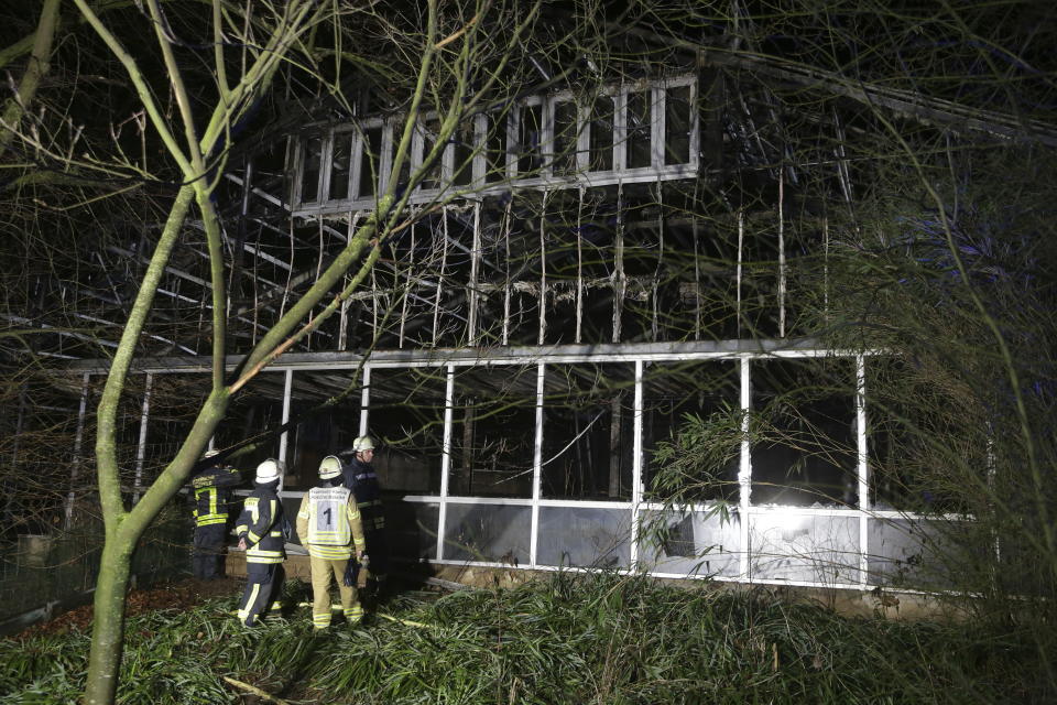 Firefighters stand in front of a burnt out animal house at the Krefeld Zoo in Krefeld, Germany, early Wednesday, Jan. 1, 2020. A large number of animals in the building included chimpanzees, orangutans and two gorillas, as well as fruit bats and birds are dead. (David Young/dpa via AP)