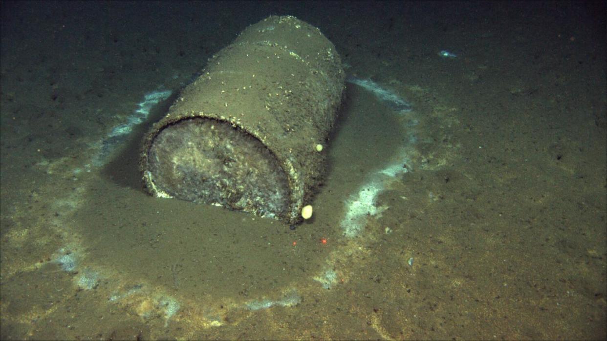 Barril con desechos tóxicos en el fondo del mar entre la península de Palos Verdes y la isla Santa Catalina en California.