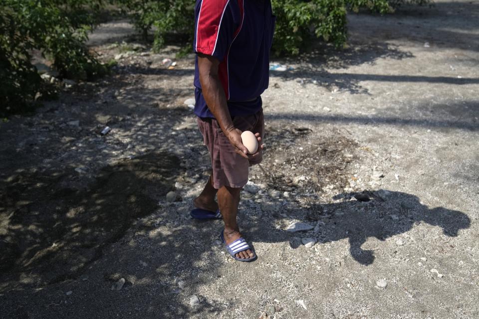A poacher holds a newly laid maleo egg taken from the beach in Mamuju, West Sulawesi, Indonesia, Friday, Oct. 27, 2023. Poachers sell the eggs for 15,000 rupiah ($1) to people who consider them a delicacy, like caviar. (AP Photo/Dita Alangkara)