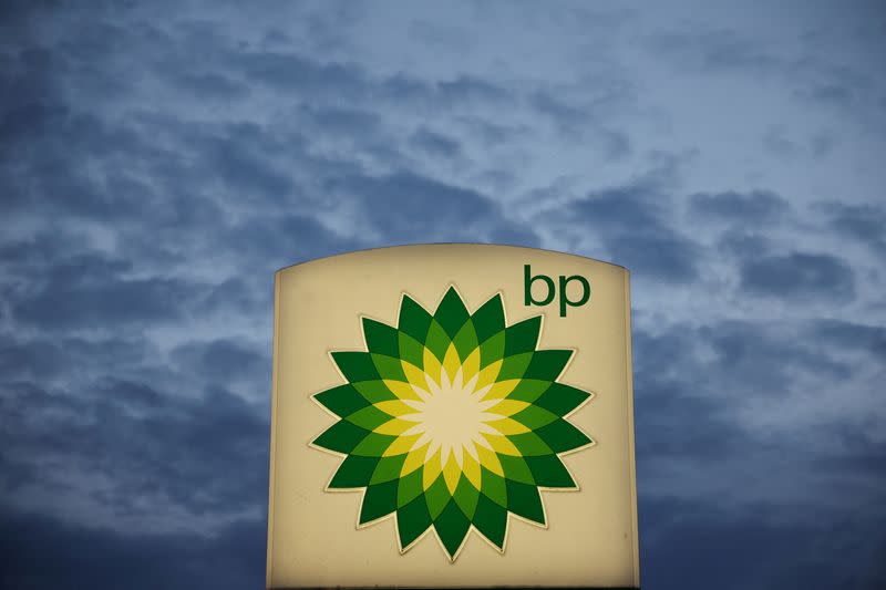 FILE PHOTO: Logo of British Petrol BP is seen at a petrol station in Pienkow