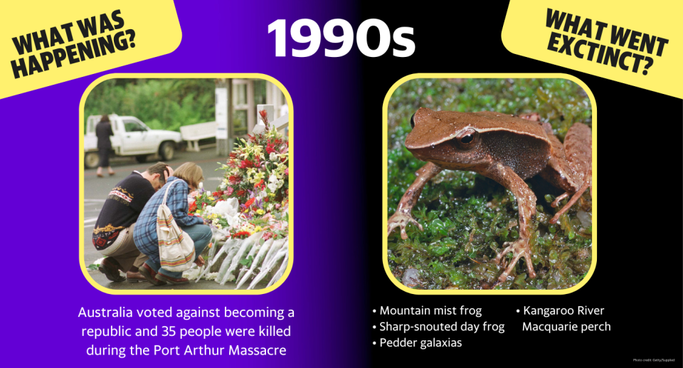 In the 1990s, Australia voted against becoming a republic, 35 people were killed during the Port Arthur Massacre.  Extinctions: Mountain mist frog, sharp-snouted day frog, Pedder galaxias, Kangaroo River Macquarie perch. 