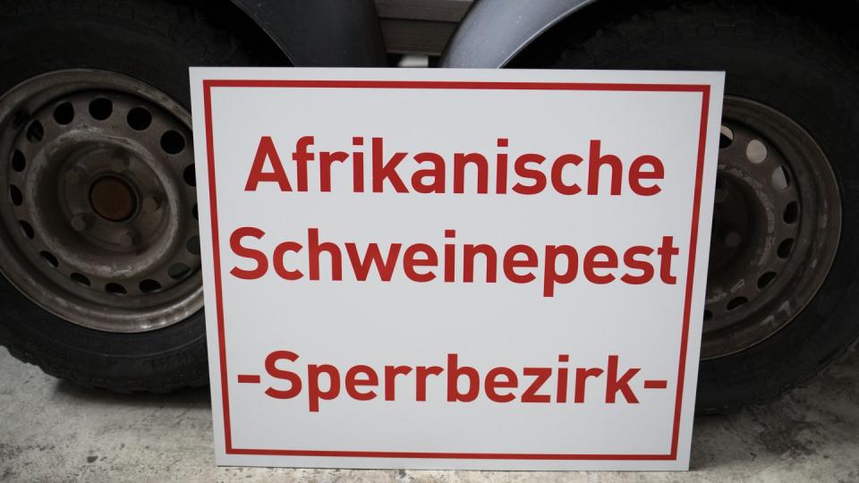 Während der Erreger der Afrikanischen Schweinepest in Afrika auch von Lederzecken übertragen wird, erfolgt die Übertragung in Europa über Sekrete direkt von Tier zu Tier.