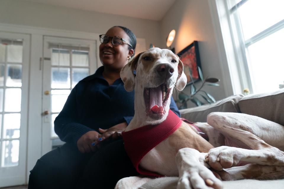 A yawn is let out by Astro, Tatiana Darby's Great Dane, as he makes himself comfortable Tuesday on the couch in his new home in Kansas City, Missouri.
